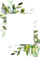  Card, Watercolor Invitation Design With  Leaves. Background With Botanic Elements For Text, Watercolor. Template.  Frame