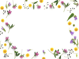 Wall Mural - Composition pattern from plants, wild flowers and red berries, isolated on white background, flat lay, top view. The concept of summer, spring, Mother's Day, March 8. Frame of flowers and berries.