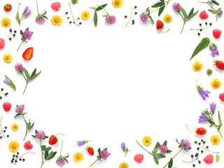 Wall Mural - Composition pattern from plants, wild flowers and red berries, isolated on white background, flat lay, top view. The concept of summer, spring, Mother's Day, March 8. Frame of flowers and berries.
