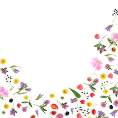 Wall Mural - Composition pattern from plants, wild flowers and red berries, isolated on white background, flat lay, top view. The concept of summer, spring, Mother's Day, March 8. Frame of flowers and berries.