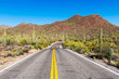 A long empty road leads through the Saguaro National Park, Arizona, USA