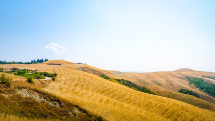 Wall Mural - colline in toscana