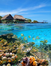 A Tropical Restaurant With Thatched Huts Over The Water And A Thriving Coral Reef With Fishes And A Sea Turtle Underwater, Caribbean Sea, Panama, Central America
