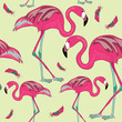 Two flamingos with red feathers. Seamless pattern. Vector illustration on yellow background