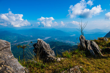 Wall Mural - Top View at Doi Pha Tang in Chiangrai Province