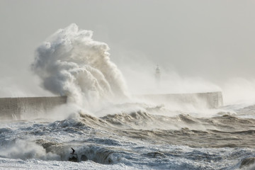 newhaven, sussex, stormy seas with wave crashing against sea wall. lighthouse partially visible behi