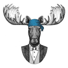 Moose, Elk Wild Biker, Pirate Animal Wearing Bandana Hand Drawn Image For Tattoo, Emblem, Badge, Logo, Patch, T-shirt