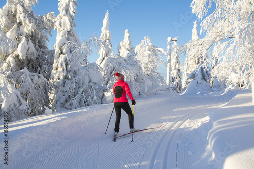 Plakaty biegi narciarskie  kobieta-na-nartach-biegowych-w-laponii-w-finlandii