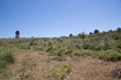 Landscape right bank, Natural Reserve of Cavagrande del Cassibile 