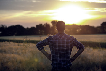 Wall Mural - Rear view of farmer in field at sunset