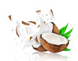 Broken coconut into two pieces with milk splashes, isolated on white background
