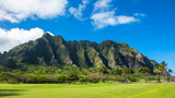 Fototapeta Las - Koolau mountain range in Hawaii