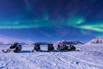 Wall Mural - the polar arctic northern lights aurora borealis sky star in norway svalbard in longyearbyen city sn