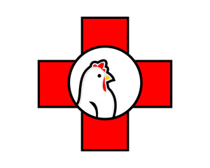 Canvas Print - medical chicken hen poultry livestock animal image vector
