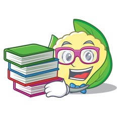 Poster - Student with book cauliflower character cartoon style