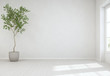 Indoor plant on wooden floor with empty white concrete wall background, Tree near door in bright living room of modern scandinavian house - Home interior 3d illustration