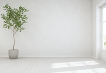 Indoor Plant On Wooden Floor With Empty White Concrete Wall Background, Tree Near Door In Bright Living Room Of Modern Scandinavian House - Home Interior 3d Illustration