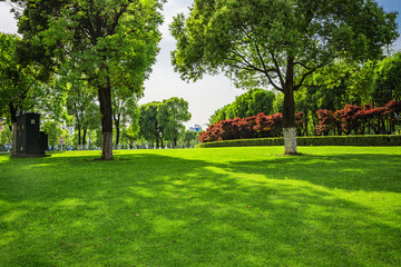 Wall Mural - city park