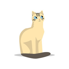 Poster - Adorable short-haired beige cat with dark tail, blue eyes and stripes on muzzle. Cartoon character of domestic animal. Flat vector for promo poster or flyer of zoo store