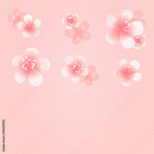 Light Pink Flowers Isolated On Pink Background Apple Tree Flowers