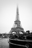 Fototapeta Miasto - Bland & White of the Eiffel tower at dawn in Paris