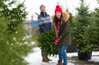 © pikselstock - Picking the Christmas tree