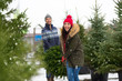 © pikselstock - Picking the Christmas tree