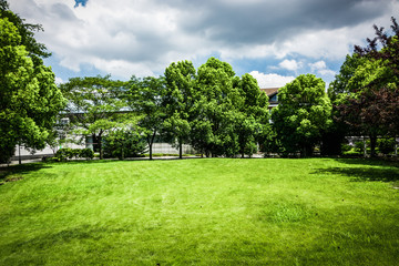 Sticker - Beautiful public park with green grass field