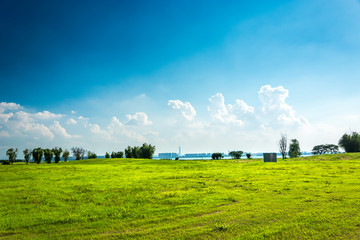 Poster - Green meadow under blue sky with clouds