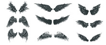 Wings Set. Hand Drawn Detailed Wings Collection.