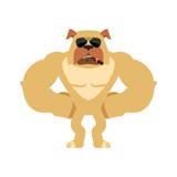 Fototapeta Dinusie - Dog Strong Cool serious. Pet smoking cigar emoji. Bulldog strict. Vector illustration