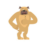 Fototapeta Dinusie - Dog thumbs up and winks. Pet happy emoji. Bulldog Vector illustration