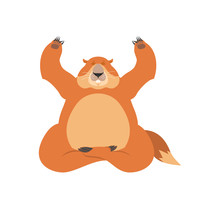 Groundhog Yoga. Woodchuck Yogi Isolated. Marmot Relaxation And Meditation. Groundhog Day Vector Illustration