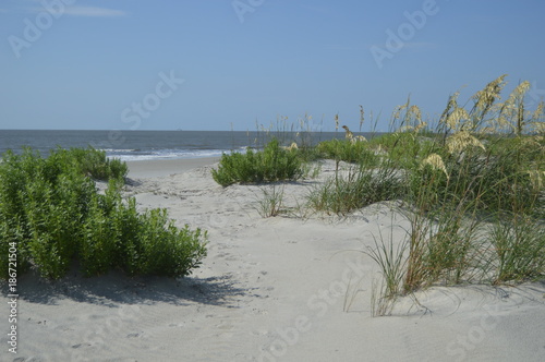Cuadros en Lienzo St. Simons Island, GA East Beach Sand Dunes