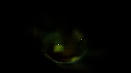 Wall Mural - Tunnel Vision 110: Traveling through an abstract grungy tunnel (Loop).