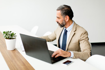 Poster - Senior businessman working on laptop computer in office