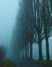 Silhouette Of A Man In The Fog Among Trees In The City