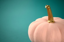 Blush Pink Pumpkins With Gold Stems On Solid Color Background With Copy Space. Nontraditional Fall, Harvest And Thanksgiving Theme.
