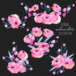 Watercolor pink poppies and floral branches bouquets collection, hand drawn isolated on a dark background