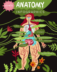 Wall Mural - Women Organs Anatomy Infographics