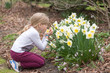 Little girl is sniffing narcissus flower in a park in spring