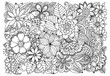 Doodle floral drawing. Art therapy coloring page.