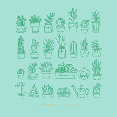 Wall Mural - Icon plants in pots turquoise