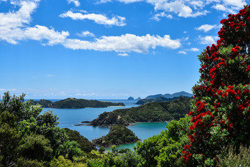 Scenic Views of Bay of Islands