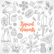 Set of hand drawn tropical elements