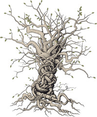 tree with beautifully randomly interlaced twigs and roots in japanese style on a white background