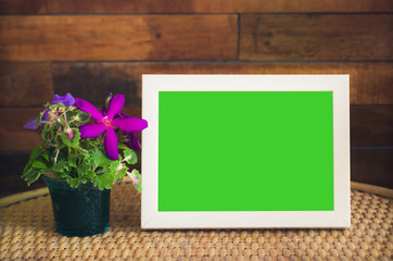 green screen isolated frame