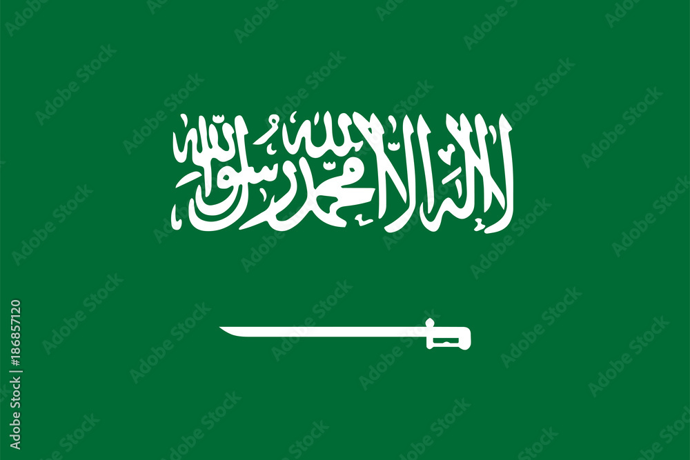 Saudi Arabia flag standard size in asia. Vector illustration - obrazy, fototapety, plakaty 