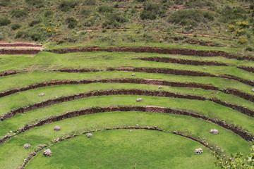 Peru Cuzco