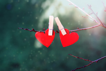 Red paper hearts hanging on the tree branch. Saint Valentine's day concept